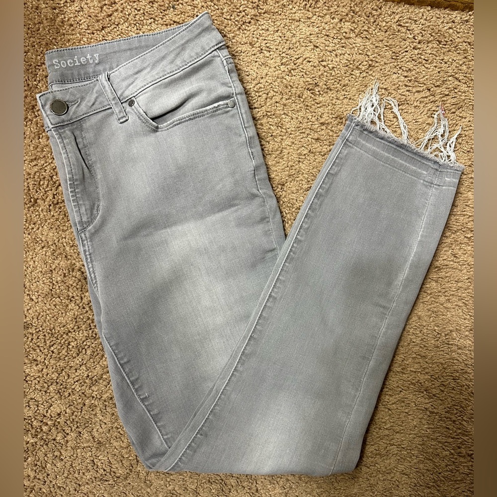 Articles Of Society Gray Skinny Jeans